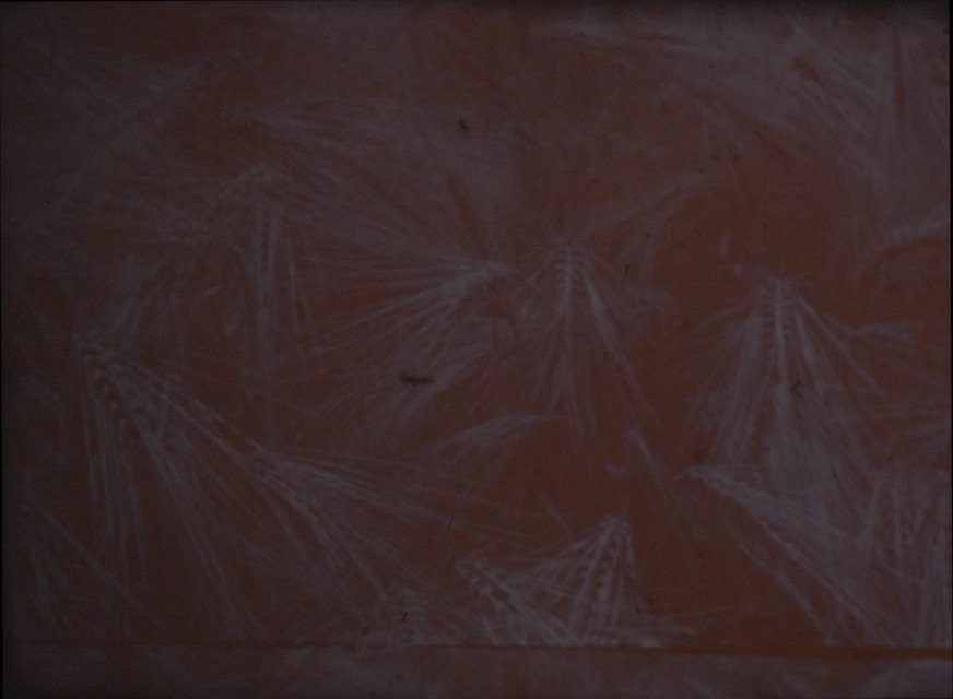 An abstract image of a scratched surface.