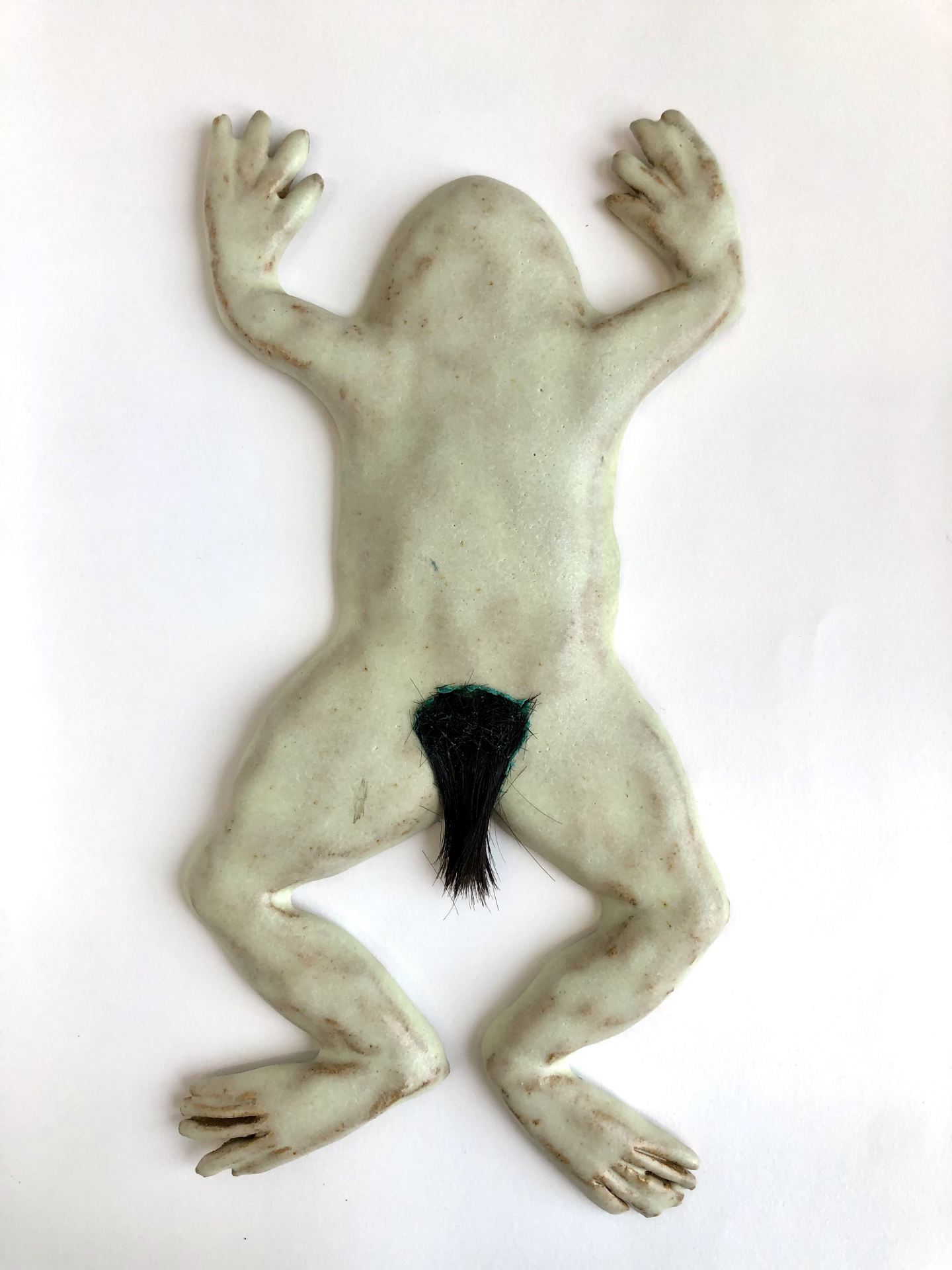 A ceramic frog with pubic hair hangs on a wall.