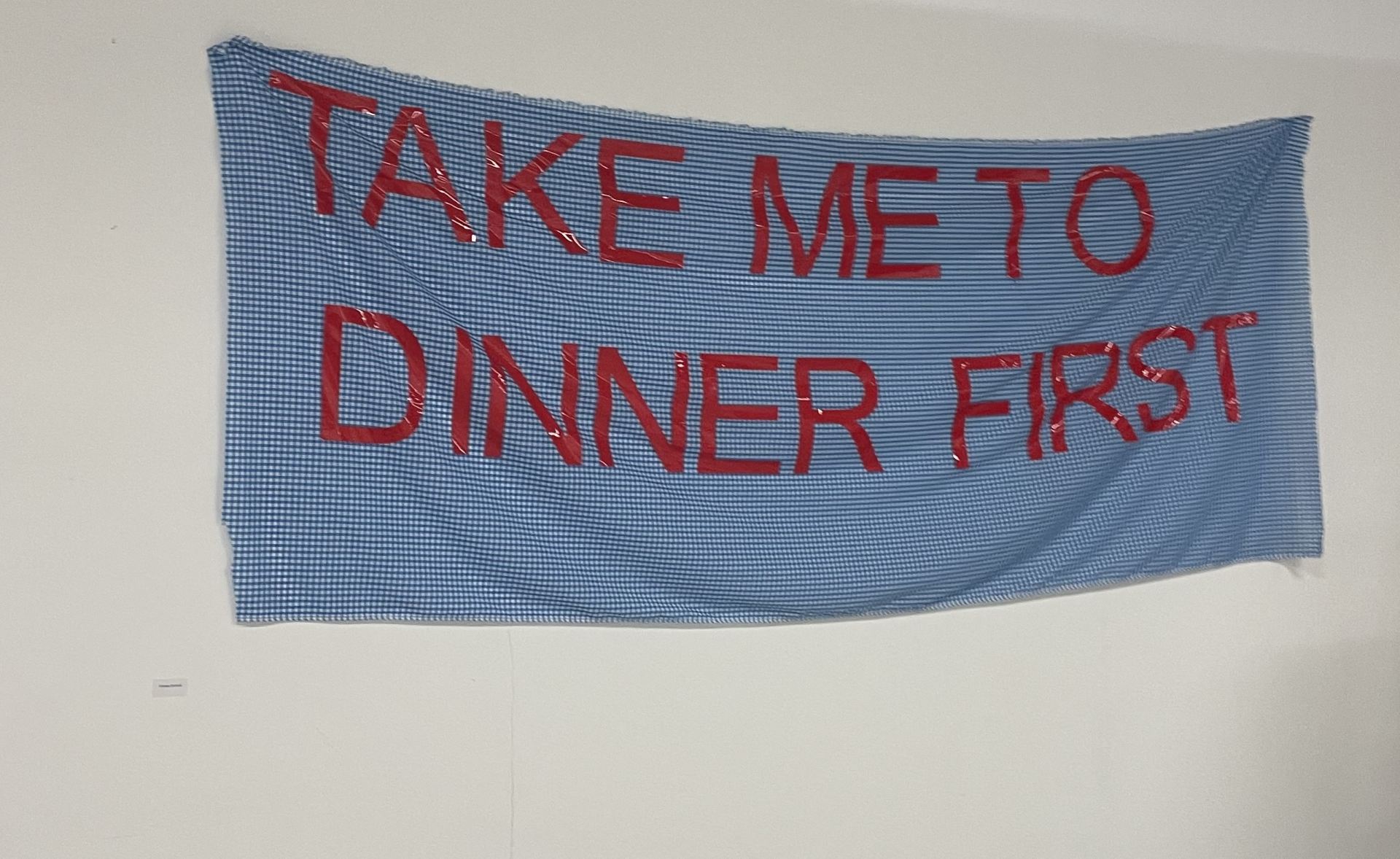 Blue gingham fabric hanging from a white wall, with the phrase “Take me to dinner first” written in red.
