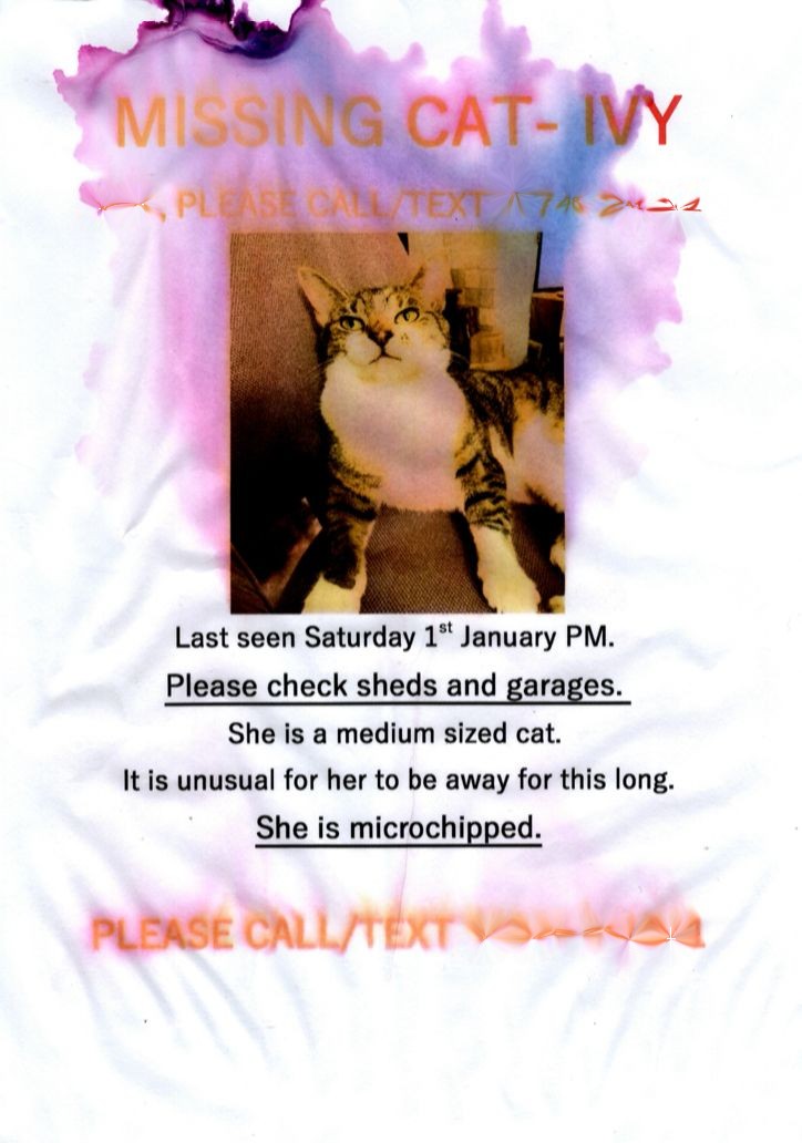 An image of a missing cat poster.