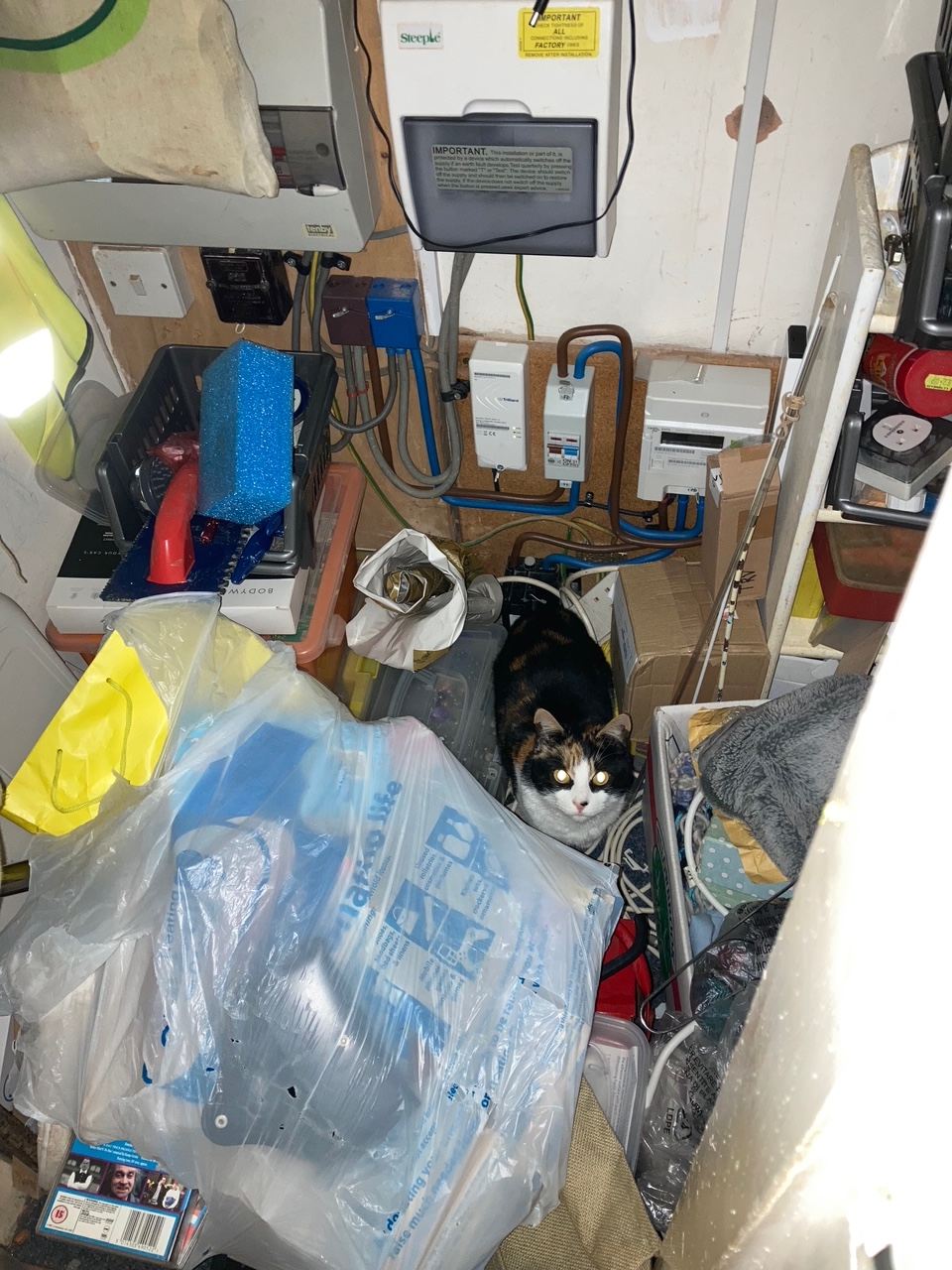 An image of a cat in a cluttered room.