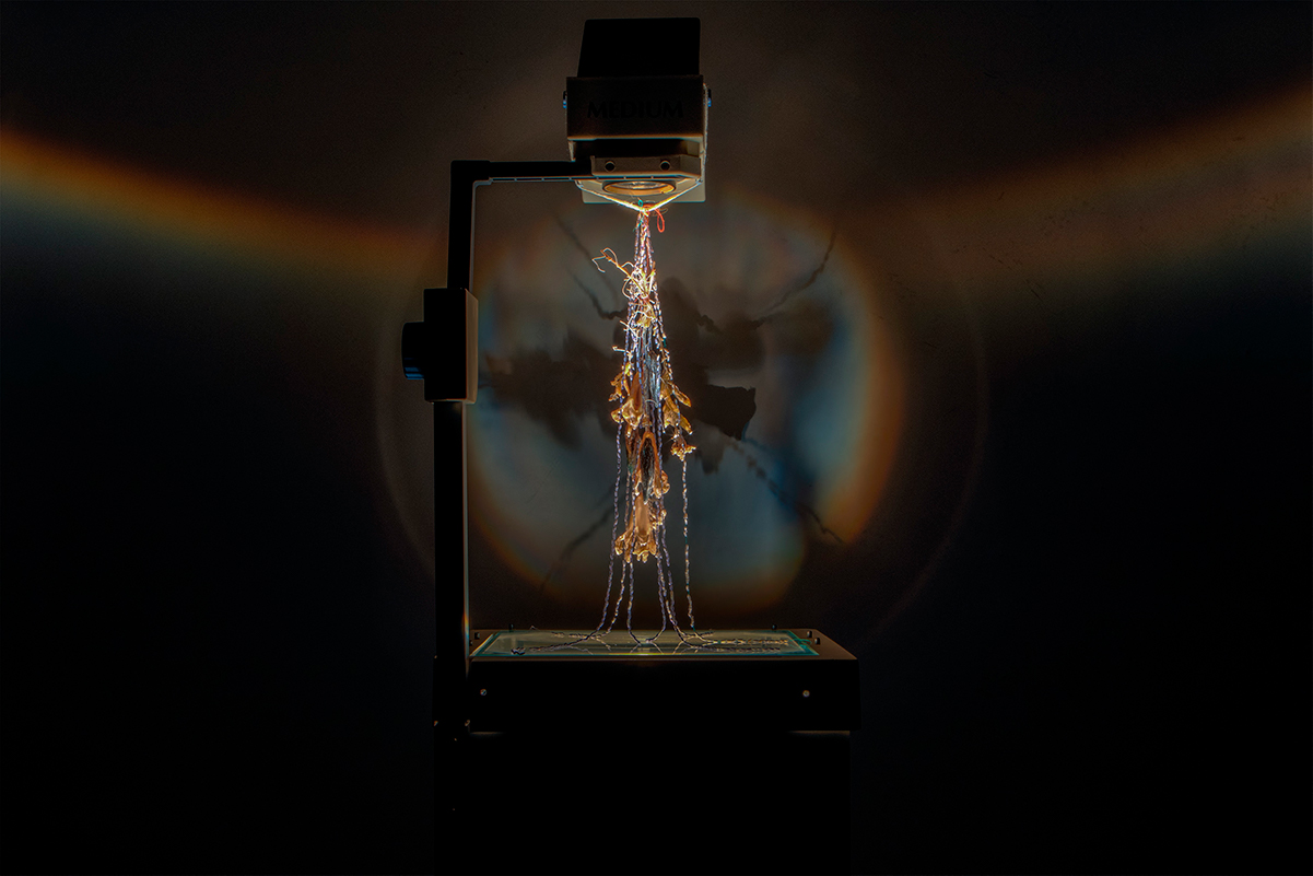 Images of a flower sculpture hung upside-down on an overhead projector in a dark room.