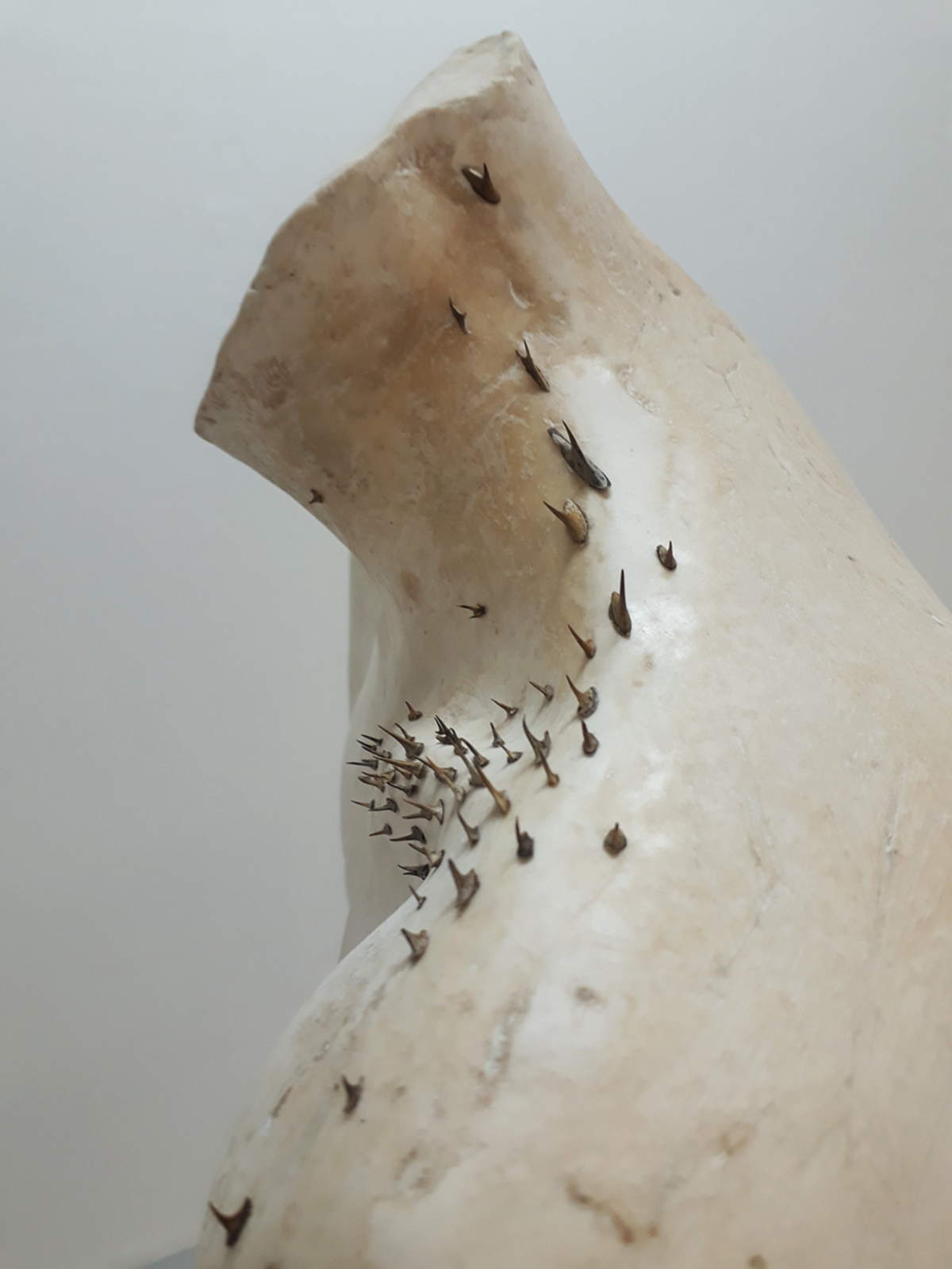 Detail of an abstract sculpture made off plaster and decorated with thorns.