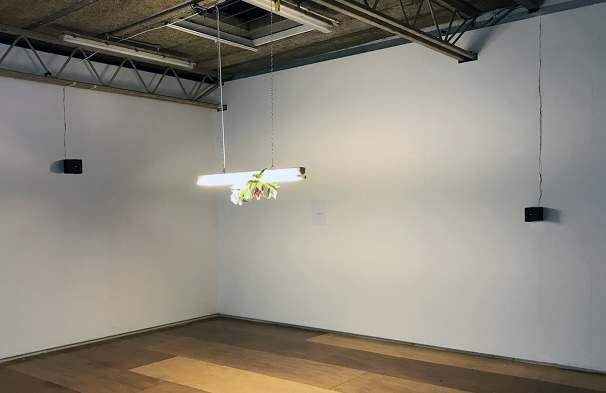 A photo of two wall mounted speakers, either side of a hanging light with a bunch of flowers wilting over it.