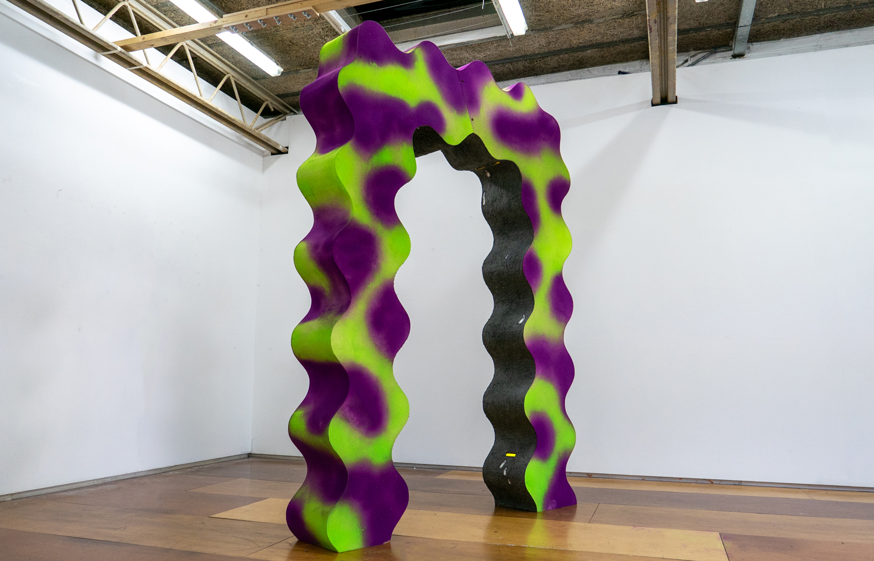 An image of a large, green and purple wavy doorway standing in the centre of a room.