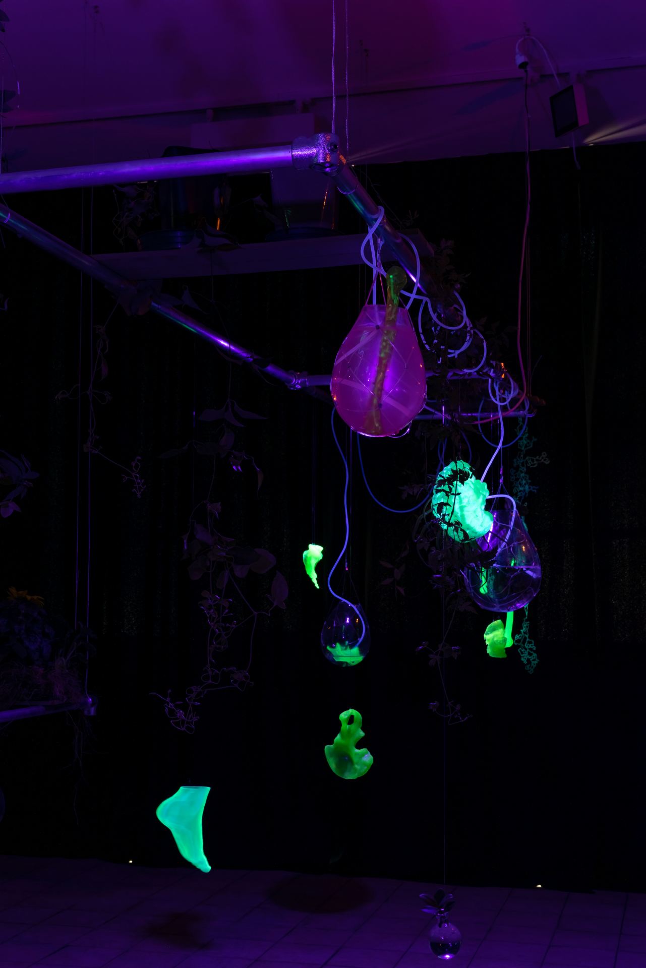 Installation shots of sculptures that demonstrate photosynthesis.