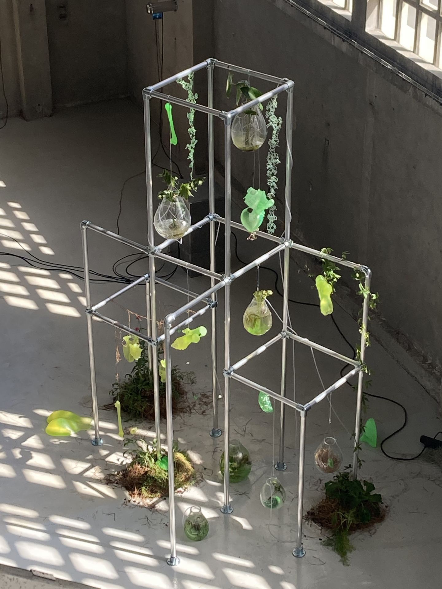 Installation shots of sculptures that demonstrate photosynthesis.