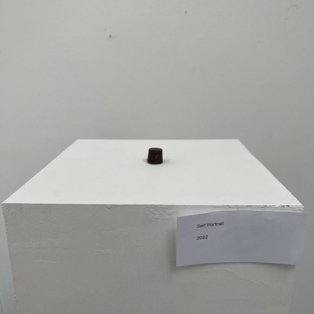 A photo of a small black object on a plinth.