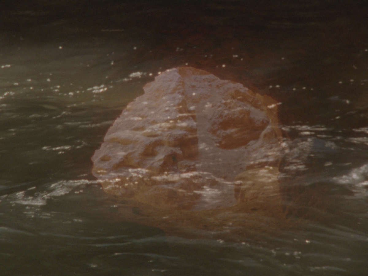 A film still of a piece of a gold and a river.