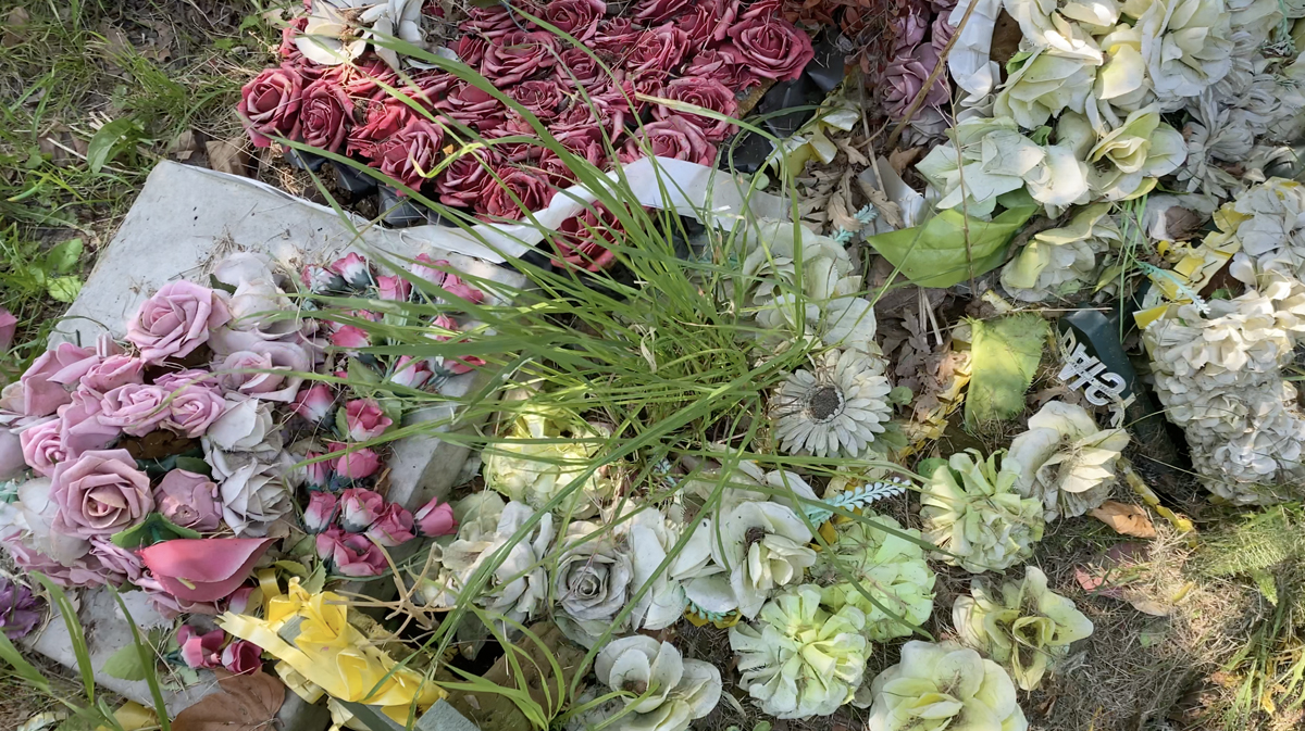 A photo of some flowers from above.