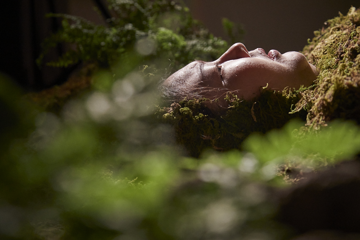An image of a face lying down in some moss.
