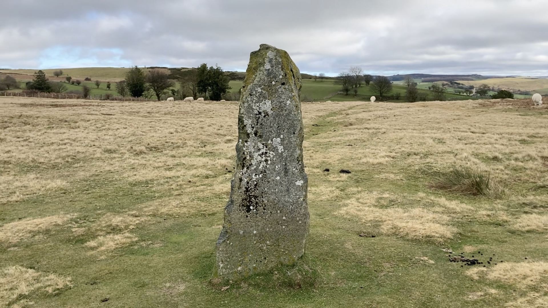 A still of a standing stone in a field.
