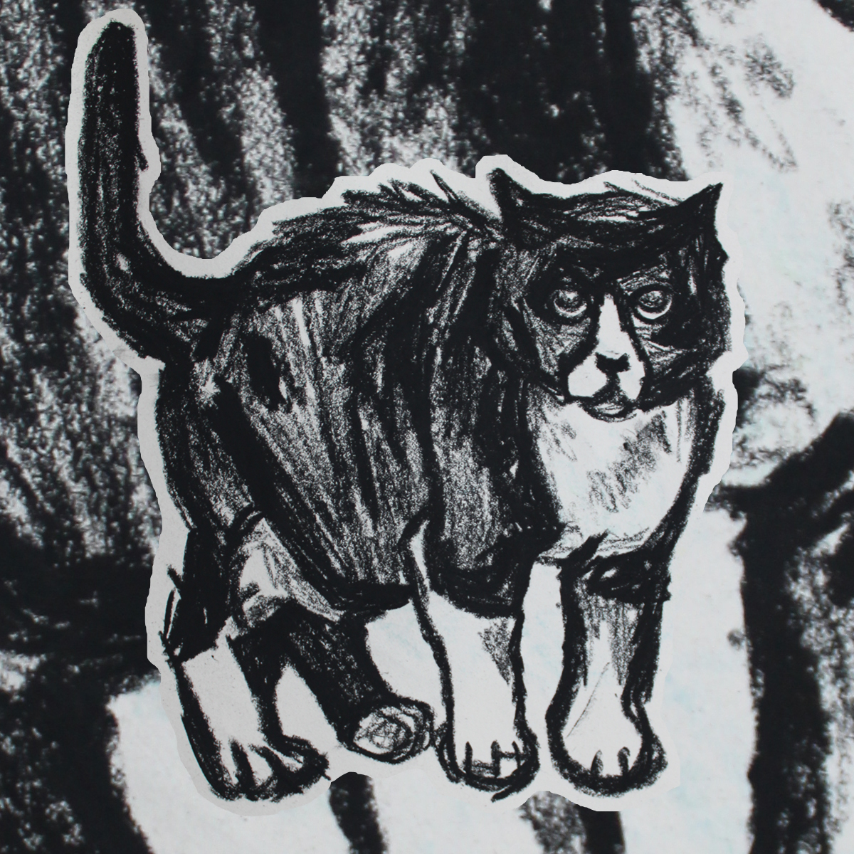 A charcoal drawing of a black and white cat standing up. The cat has a white border and the background is a section of the drawing of the cat, zoomed in to the point of abstraction.