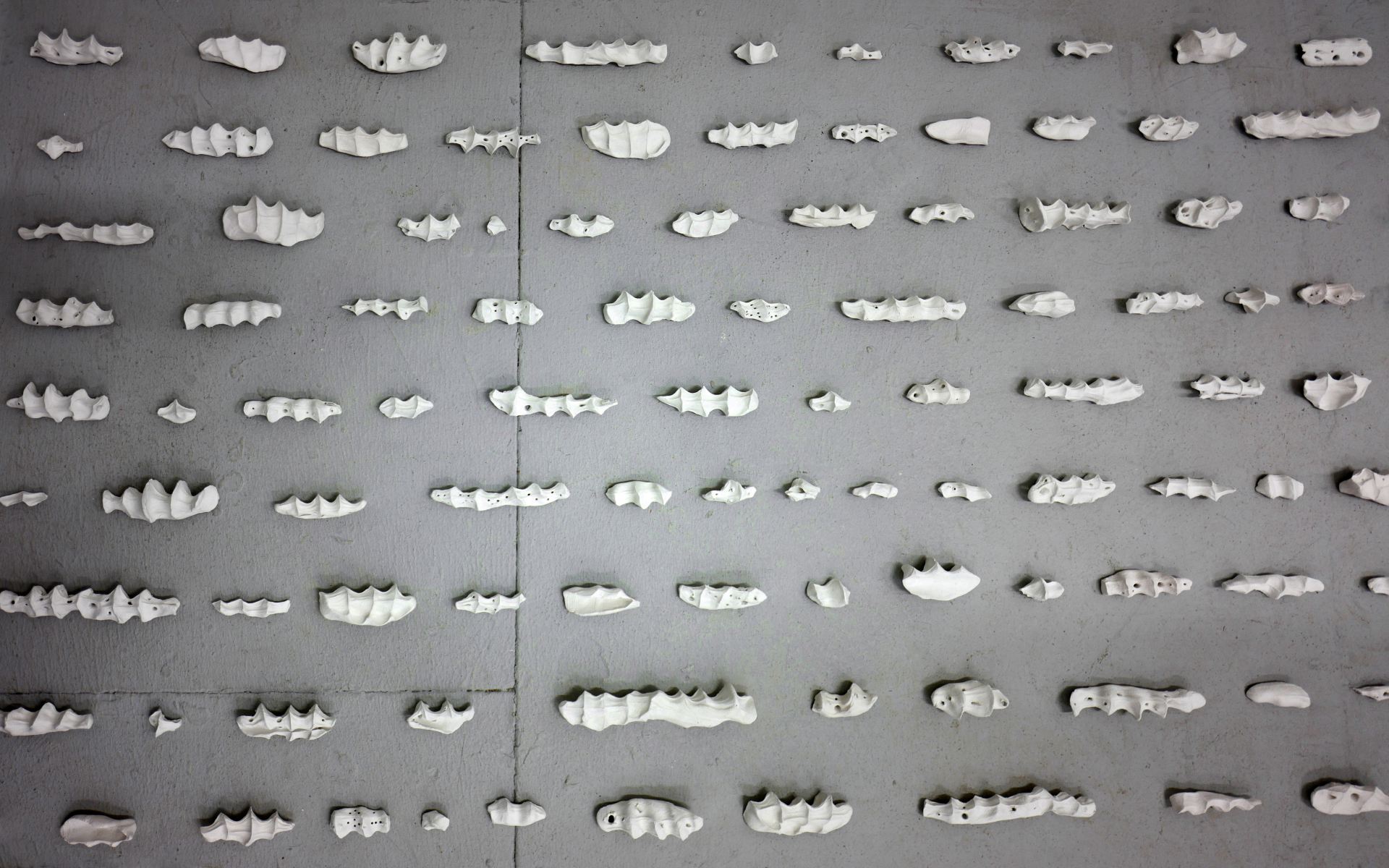 Documentation of several horizontally arranged lines of white clay sculptures against a grey floor.