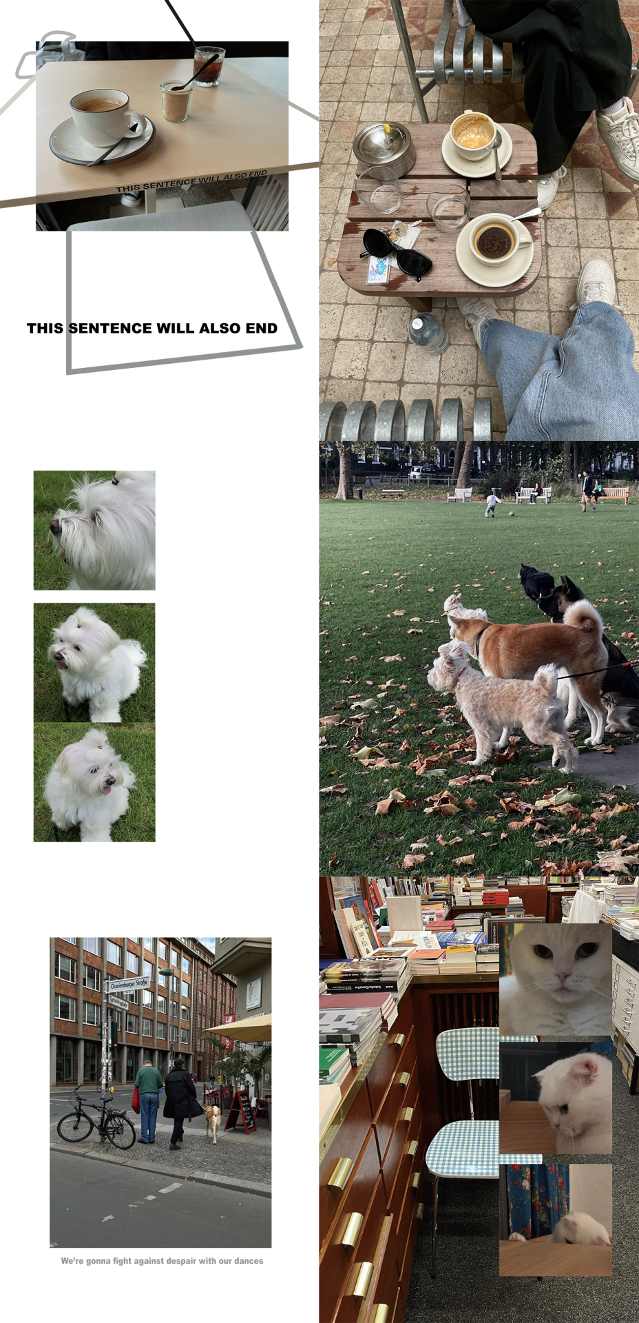 A collage of several images of animals and documented moments.