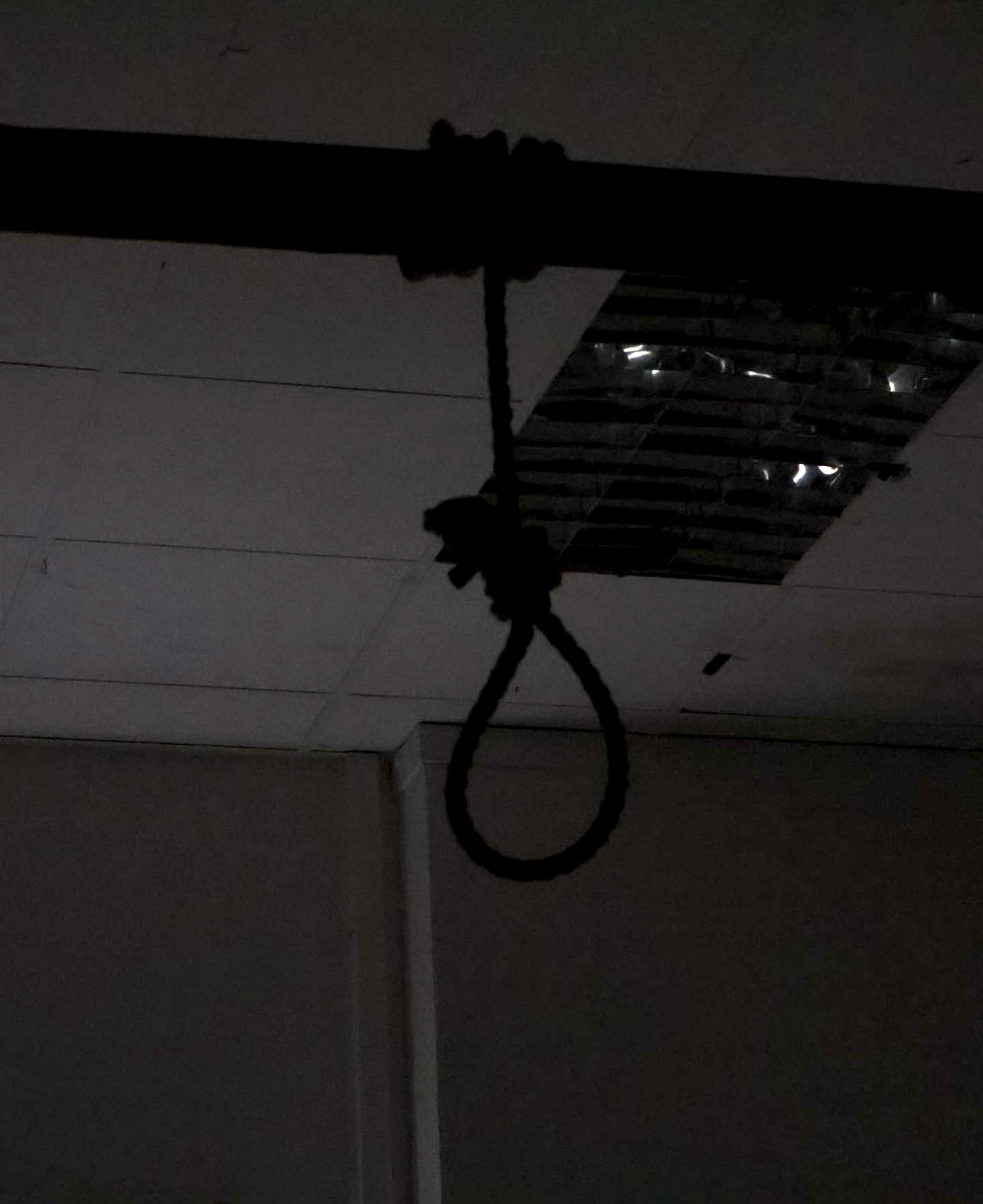 An image of a noose hanging from a ceiling.