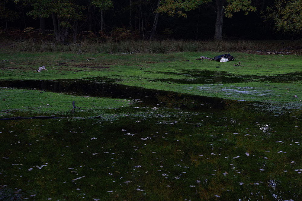 An image of the artist laying at the edge of a green pond, dressed in black.