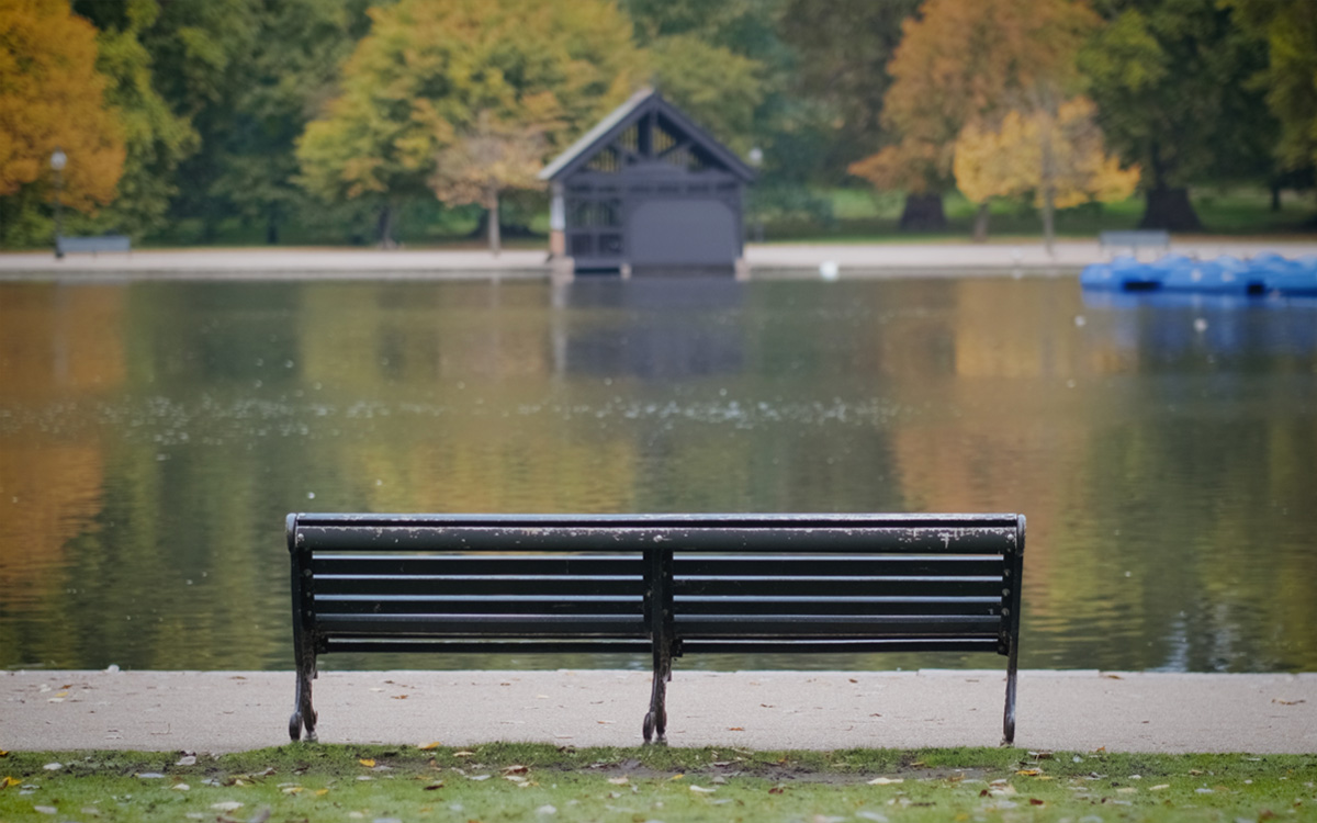 An image of a brown bench overlooking a lake.