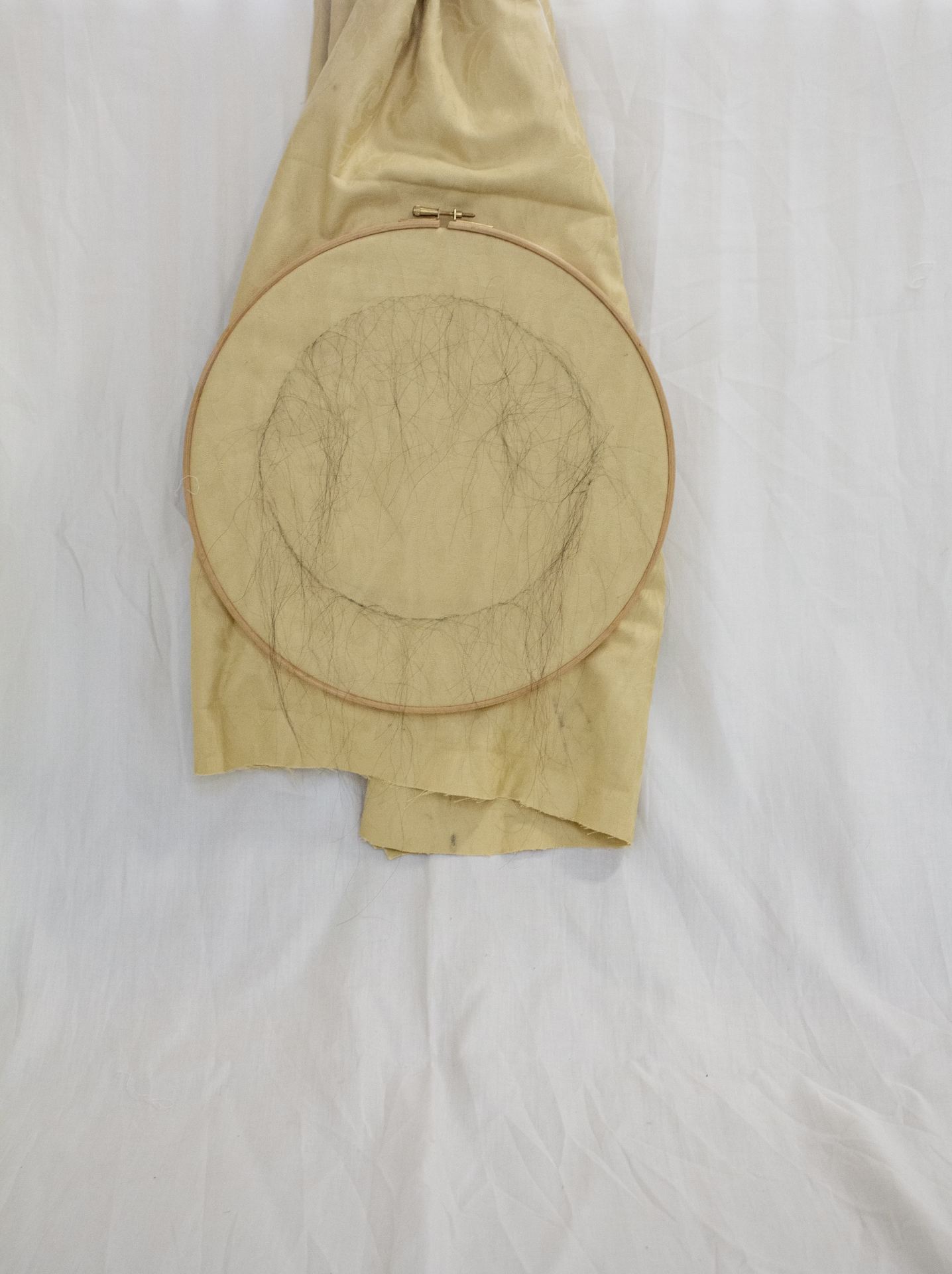 An image of a piece of yellow fabric in a stretching ring, set against a white background. There are several strands of dark hair that have been sewn in a circle on the fabric. 