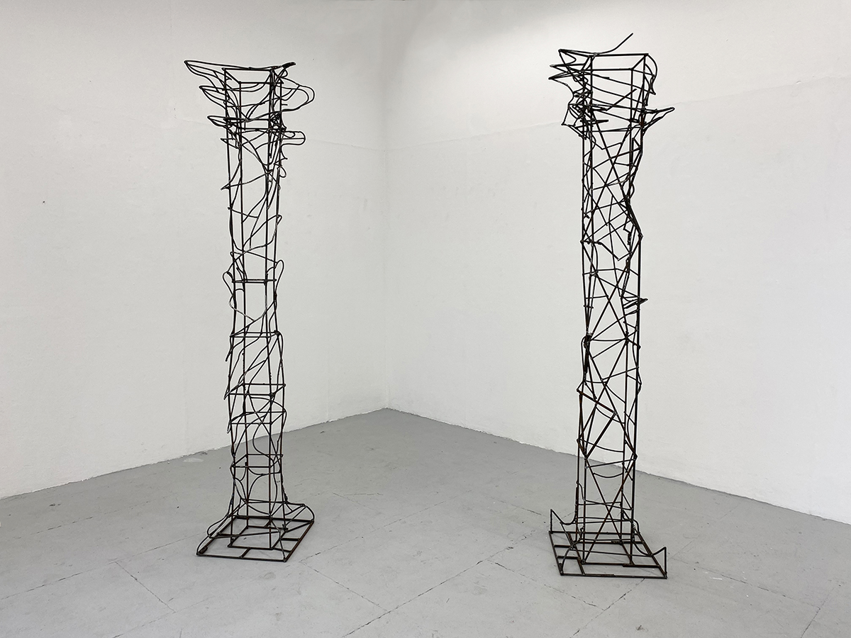 An image of two metal wire structures in a white room.