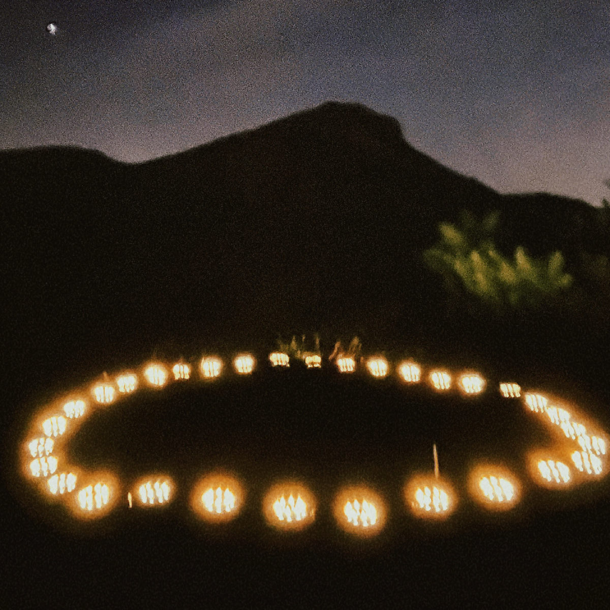 A ring of solar powered lights in a garden at night.