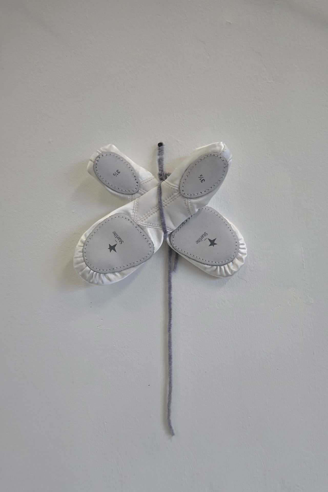 An image of a pair of shoes tied in a cross on a grey stick and mounted on a white wall.