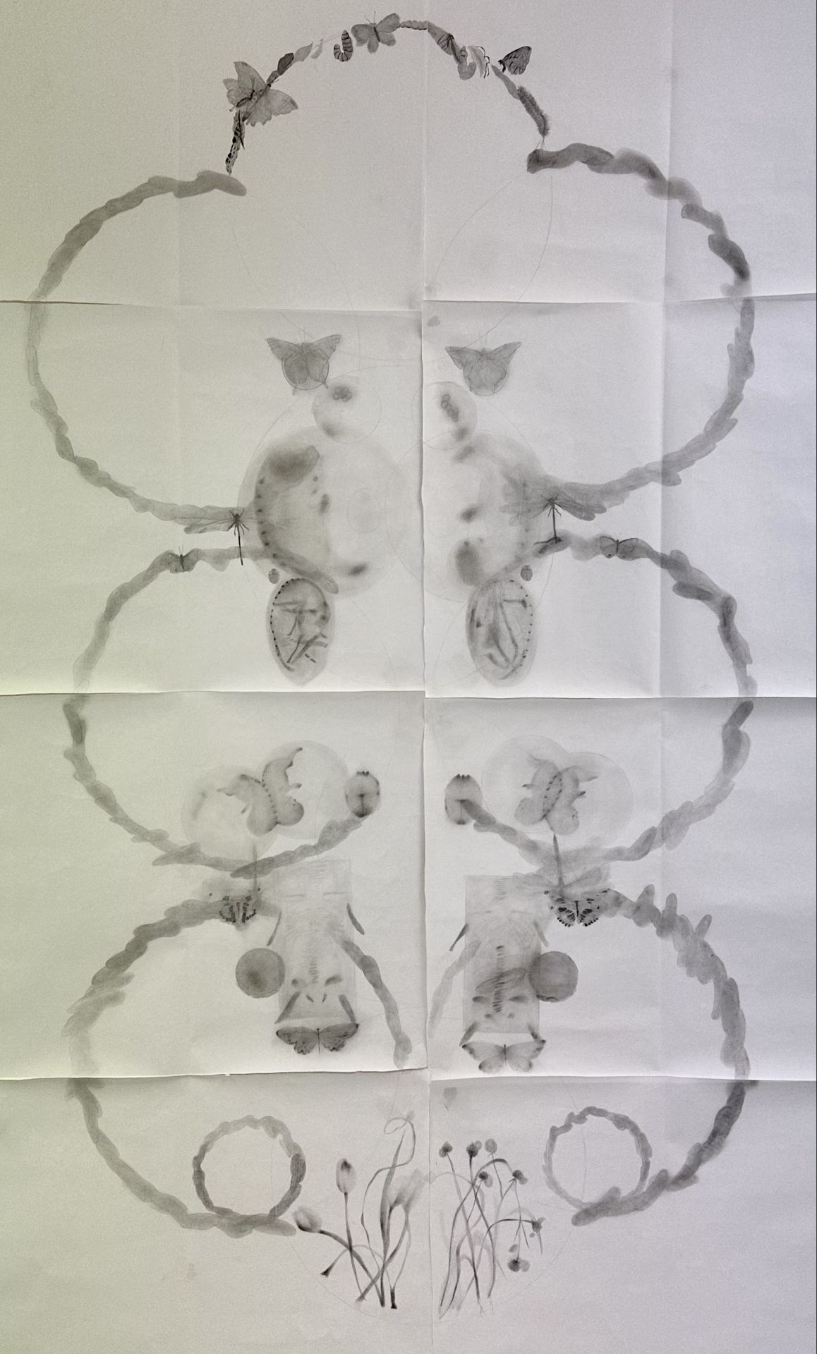 A large drawing, comprised of 8 smaller drawings, of flowers and insects.