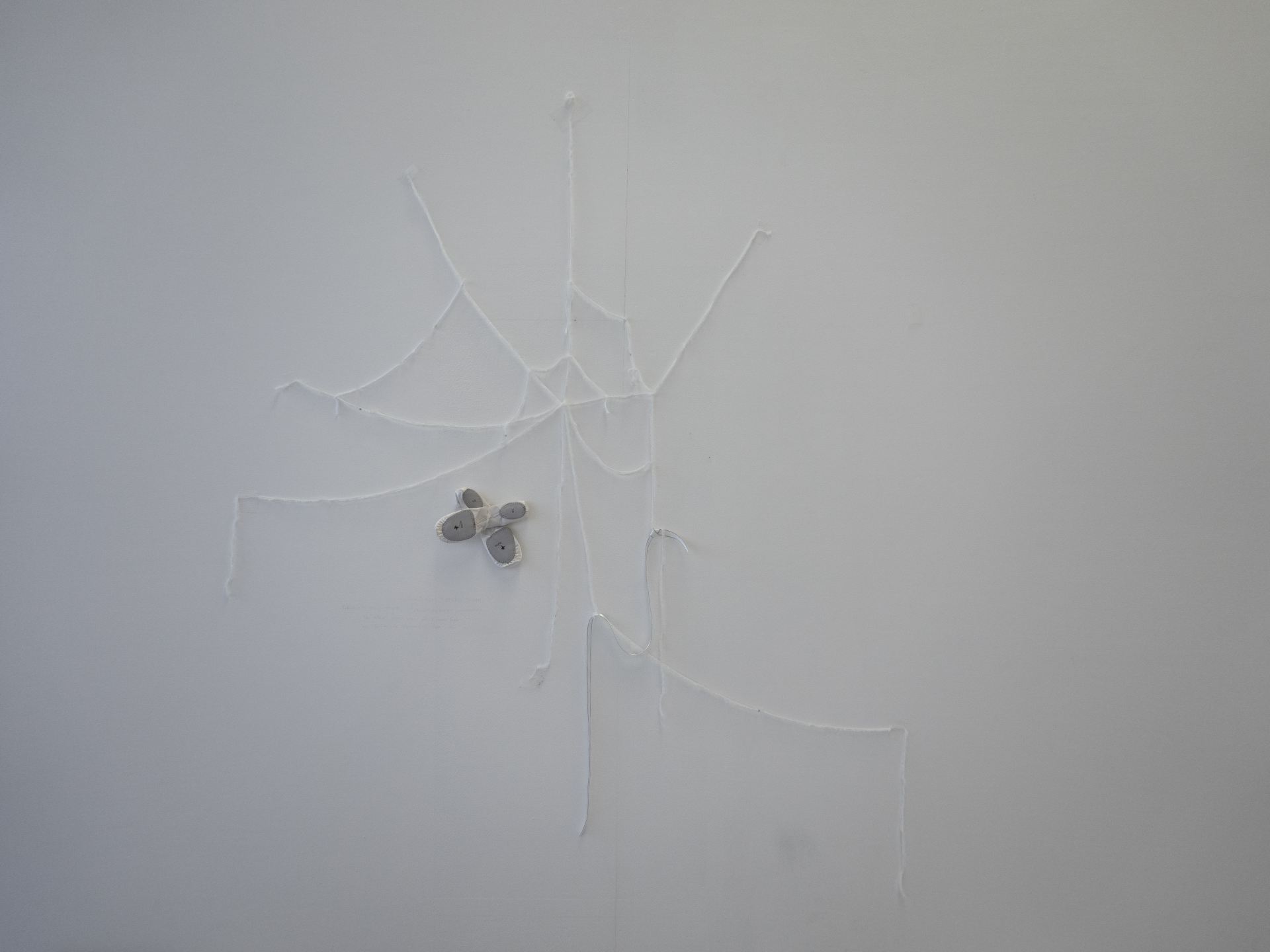 An image of a white, cobweb-like structure hung on a white wall.