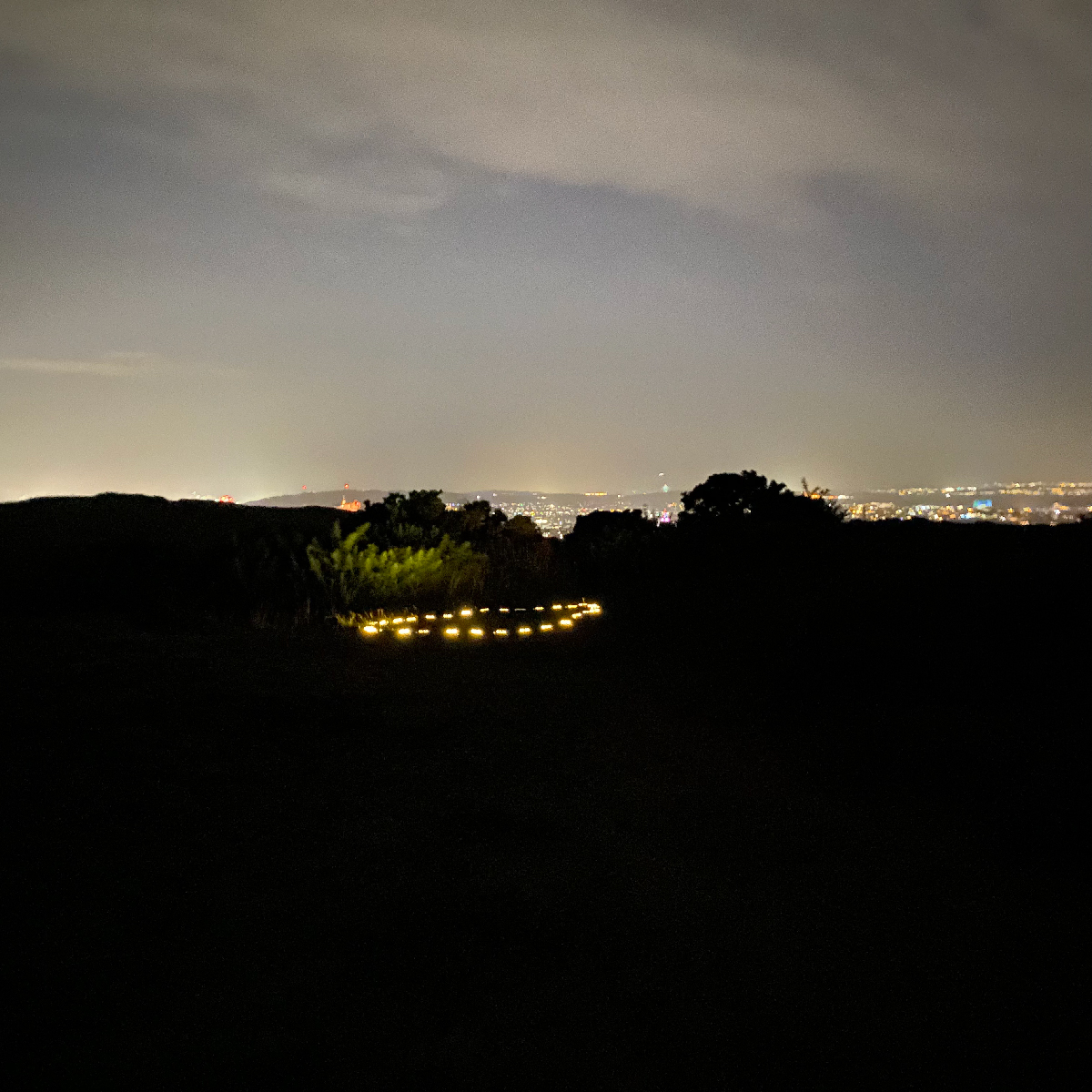 A ring of solar powered lights in a garden at night.