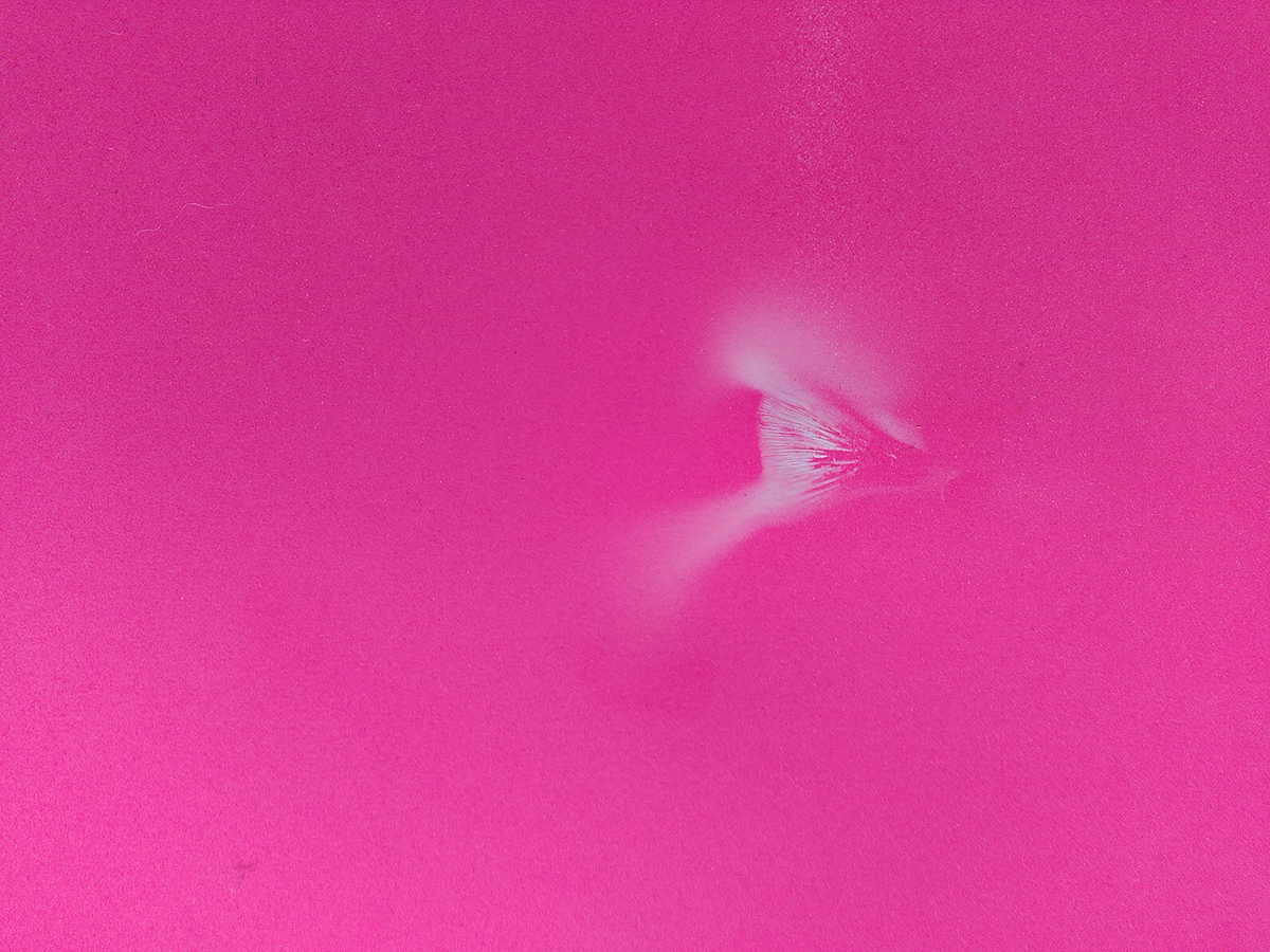 A White spore print on bright pink background, depicting the side profile of an eye.