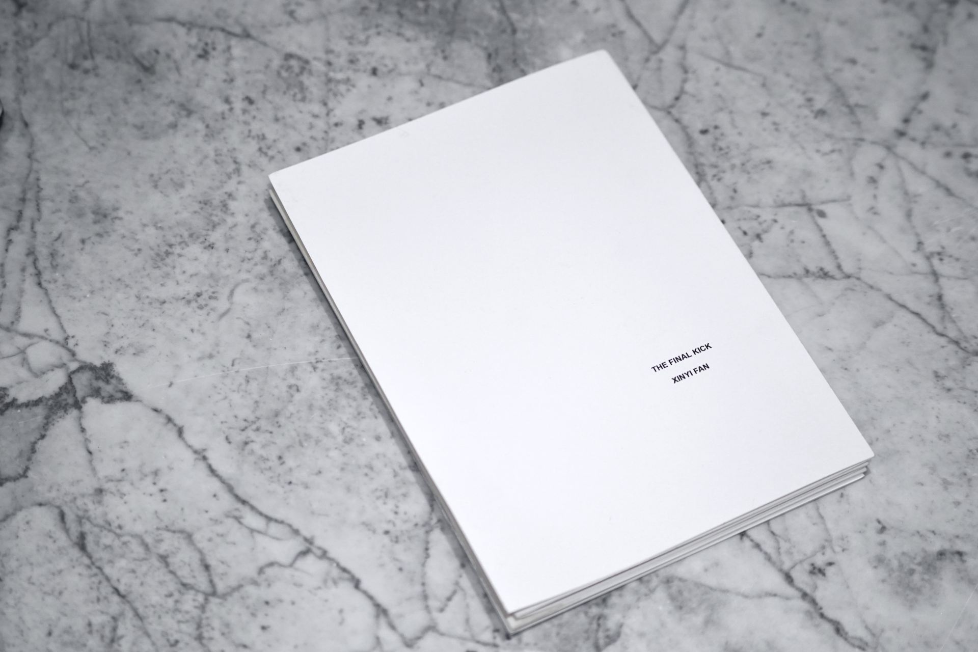 An image of the front cover of a white book on marble.