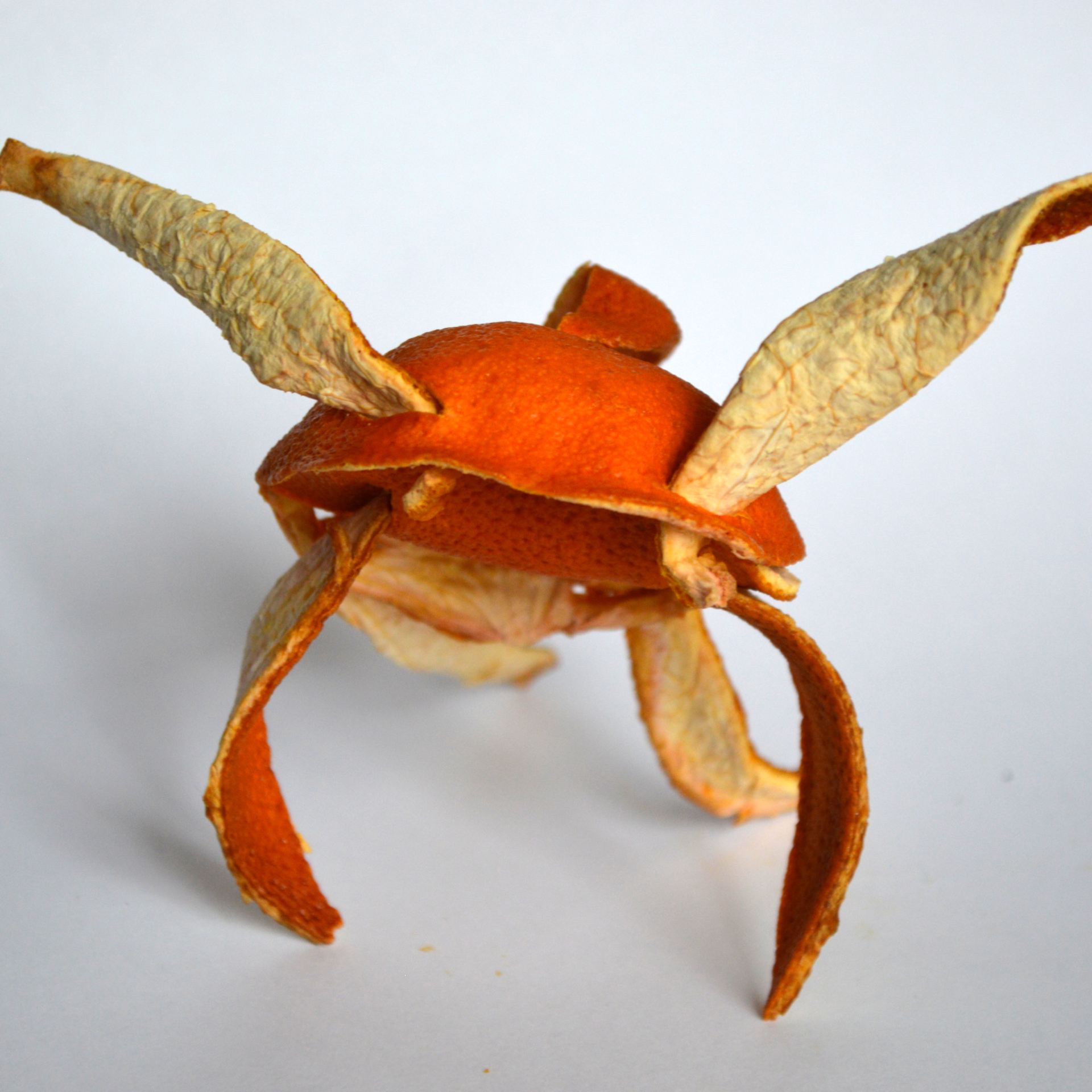 An image of an abstract sculpture made from orange peel.