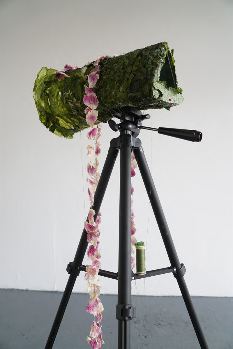 A close up image of a sculpture resembling a telescope made of a tripod, mirrors, dried petals, thread and seaweed against a white wall.