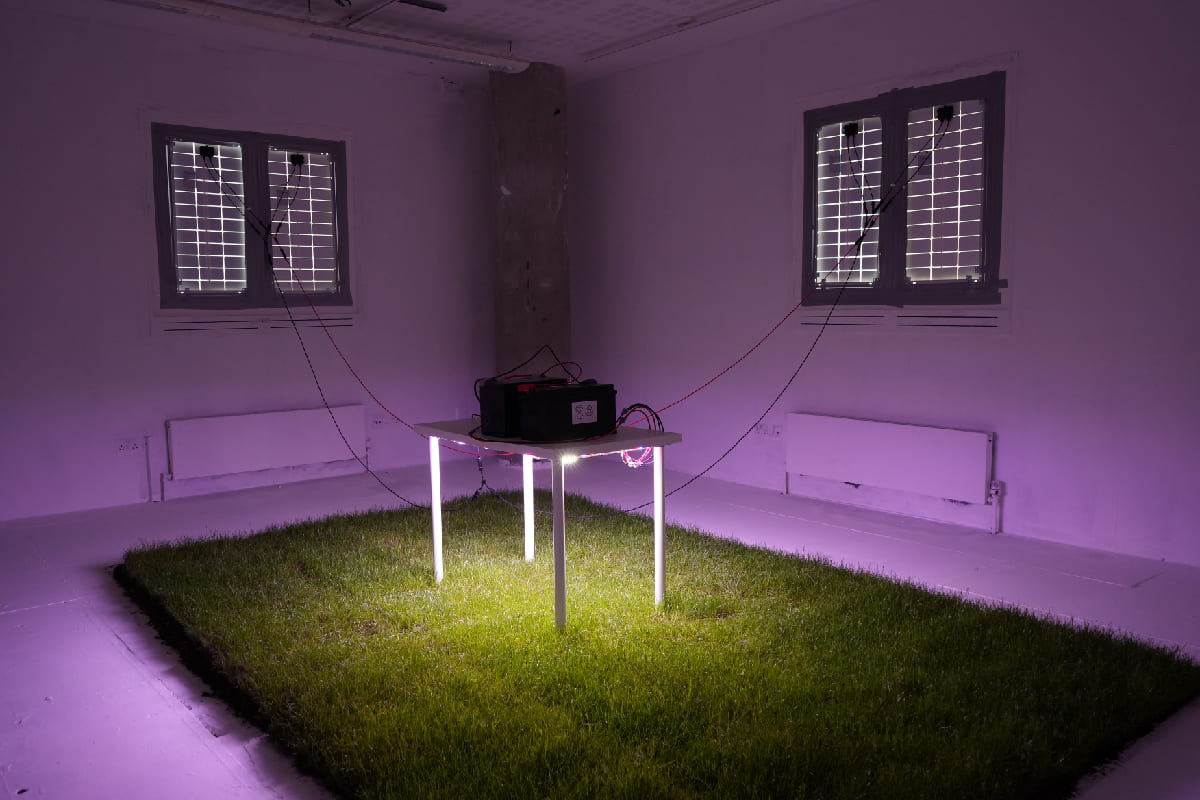 An image of a dim, purple room with a table upholding a light, illuminating a patch of grass.