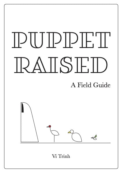 An excerpt from a book containing text, images, charts, references, credits, and descriptions from Puppet Raised.