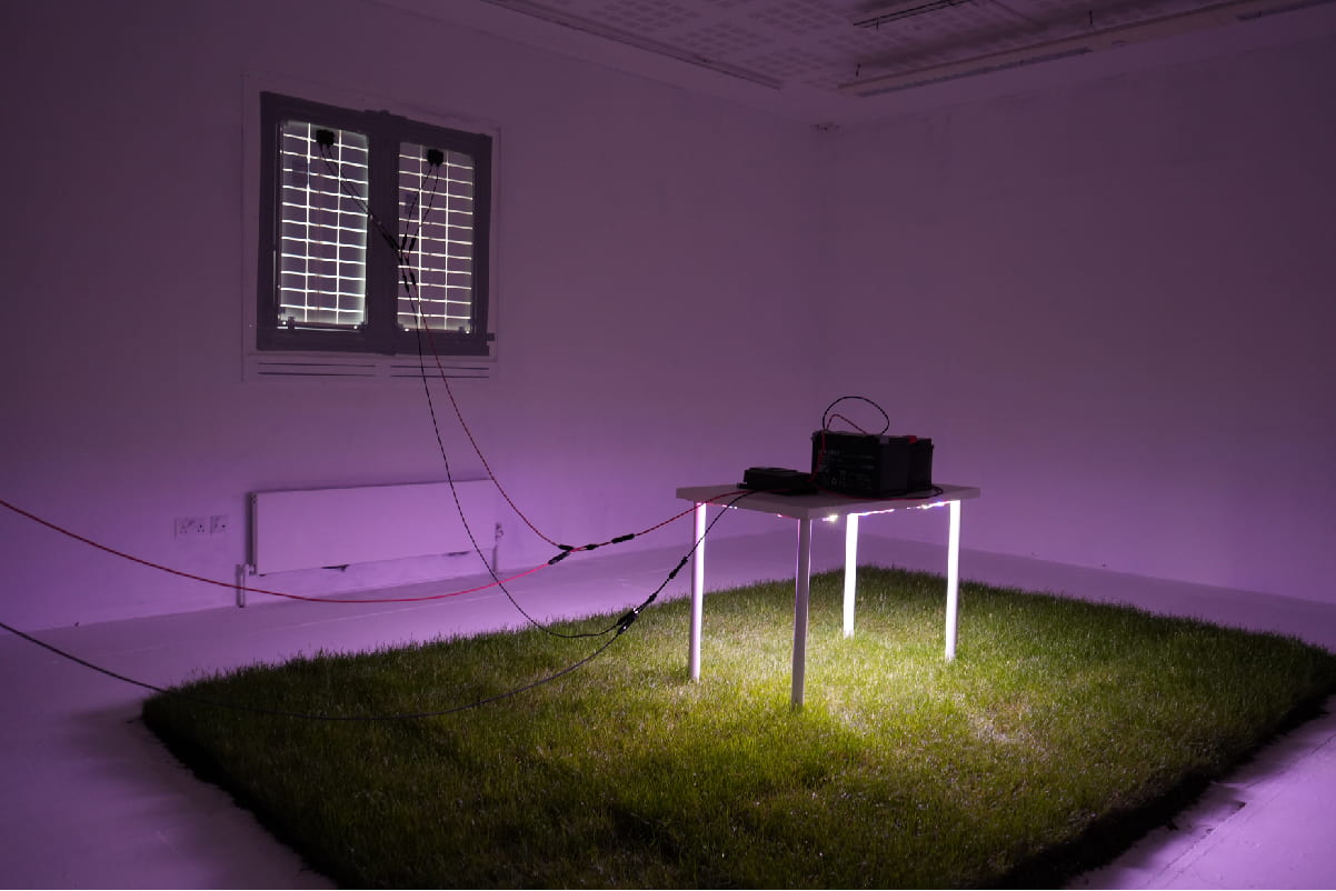 An image of a dim, purple room with a table upholding a light, illuminating a patch of grass.