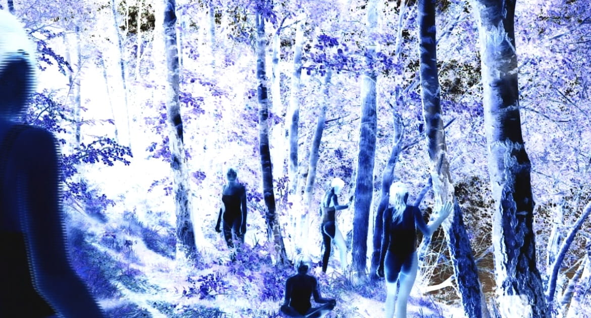 An image of people in a forest.