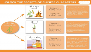 The secret of Chinese characters