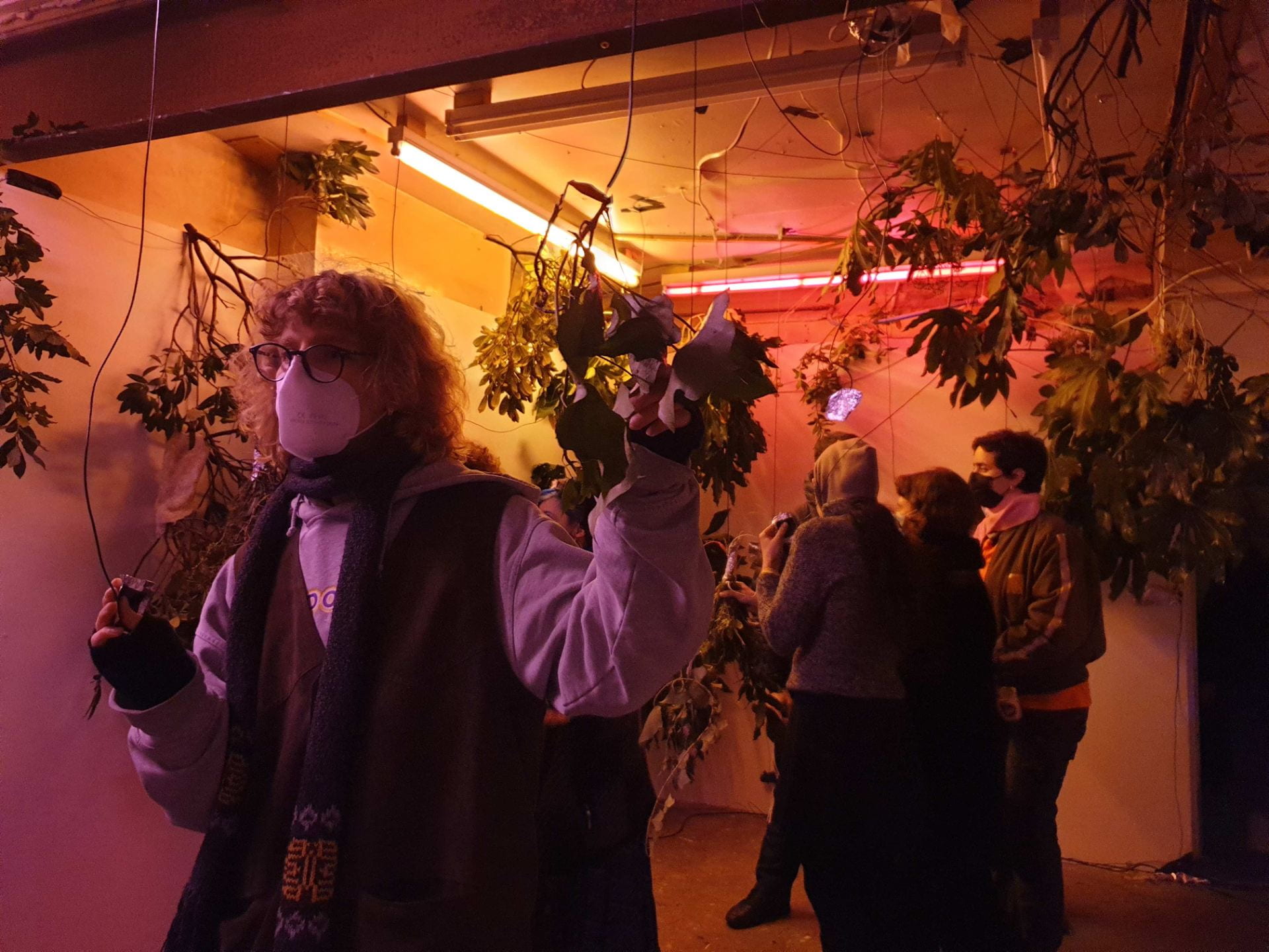 A performance event at Jupiter Woods, the gallery space is filled with hanging plants and a person holding leaves in the space.