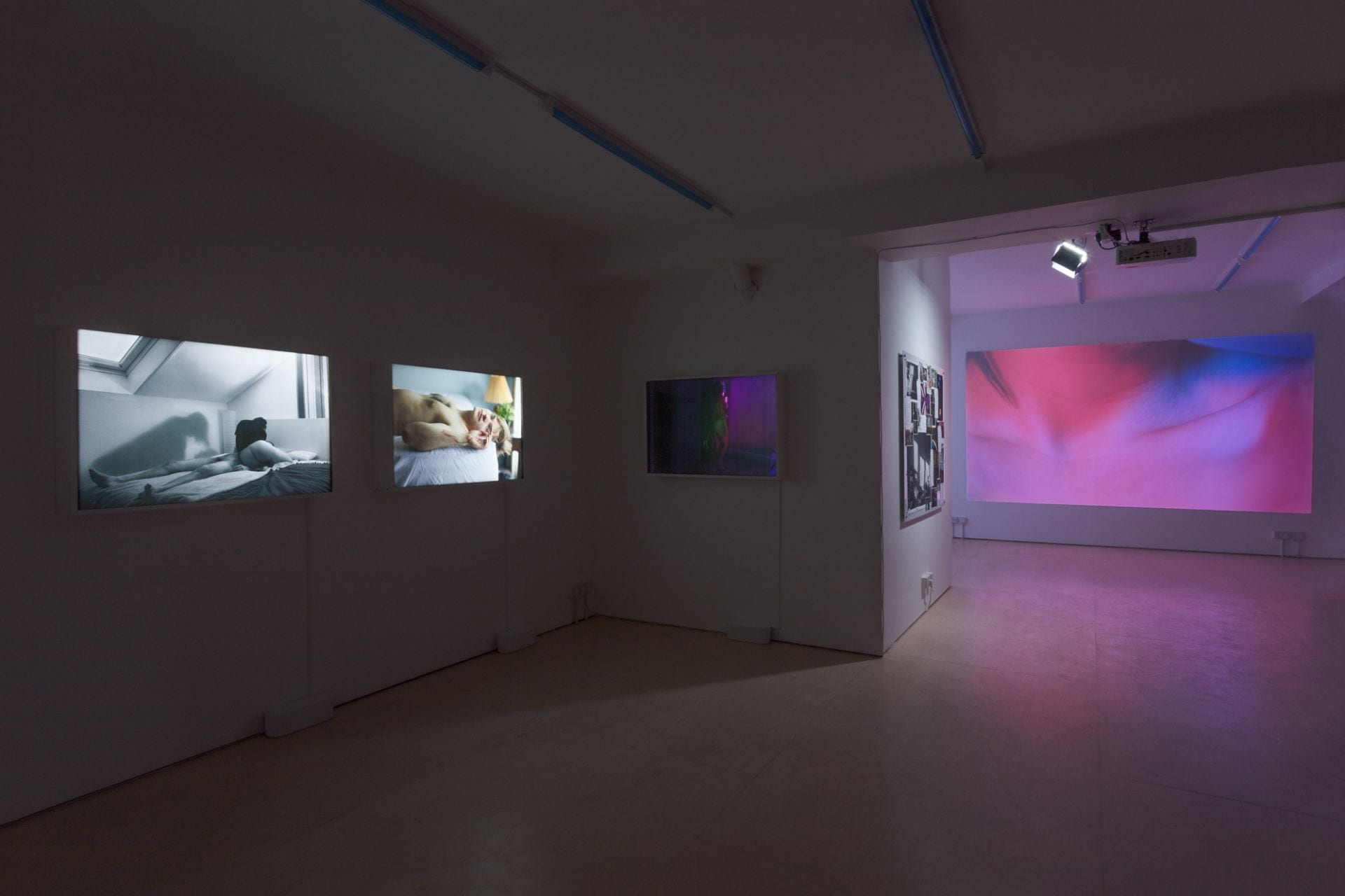 An exhibition of Liz Calvi's work at Seager space, showing five different films on display.