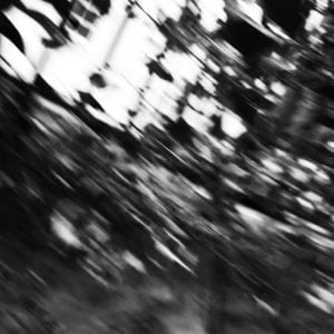 Blurred black and white photograph