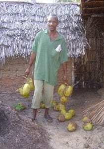 man holding felled coconuts