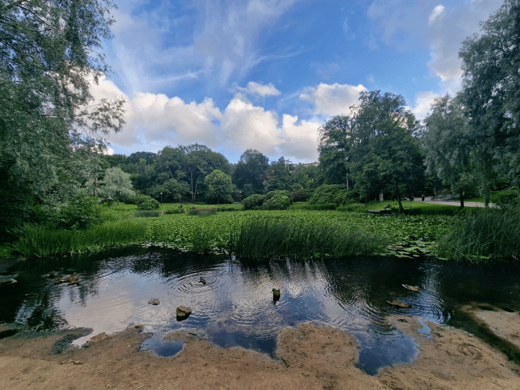 an image of a lake with a beautiful blue sky and green grass and trees in the background.
