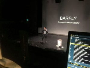 Liv stands on stage dressed as a fly, behind them a large screen reads "BARFLY Drosophila Melanogaster". In the foreground of the shot is a laptop screen, indicating that the shot was taken from the theatre's control booth.
