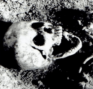 A black and white image of a skull on the ground.